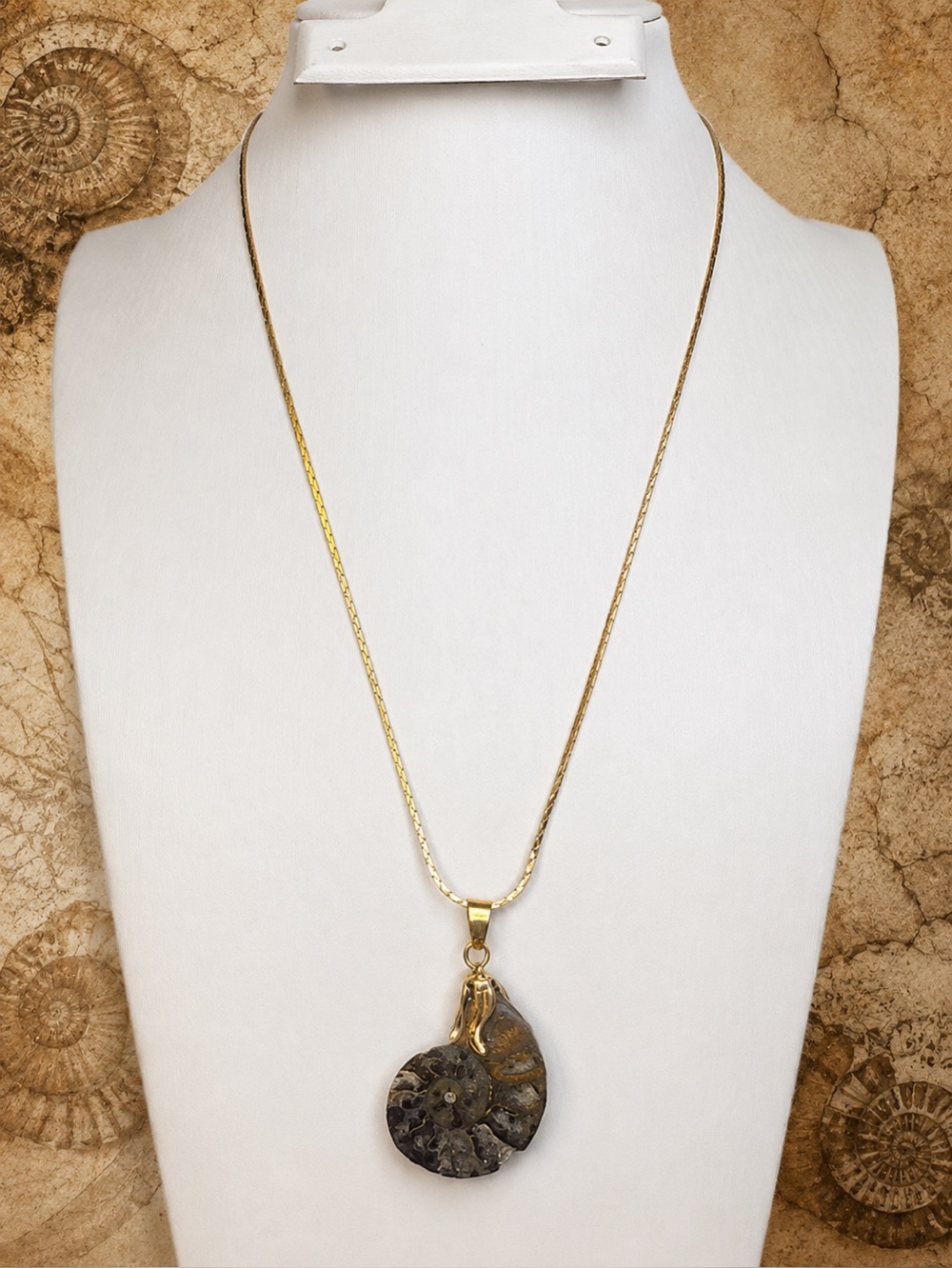 Genuine Ammonite Fossil Pendant Necklace Gold Tone Chain 17”